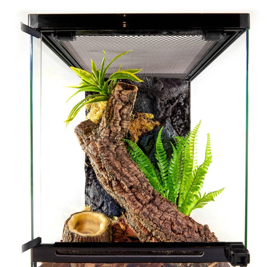 Флорариумы в интерьере