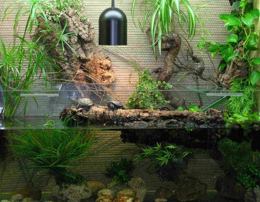 Стильный аквариум в интерьере