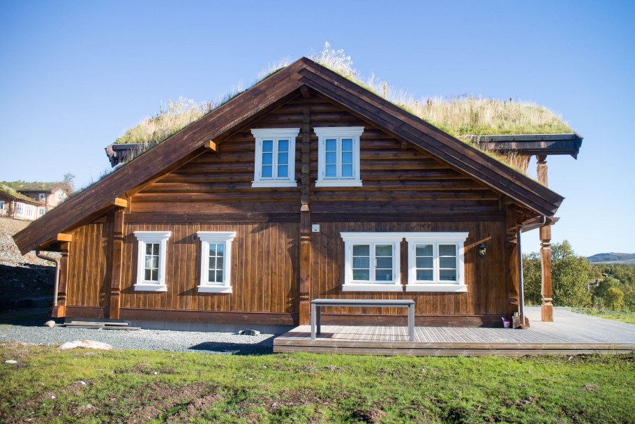 Дом рустикальный стиль Лесной