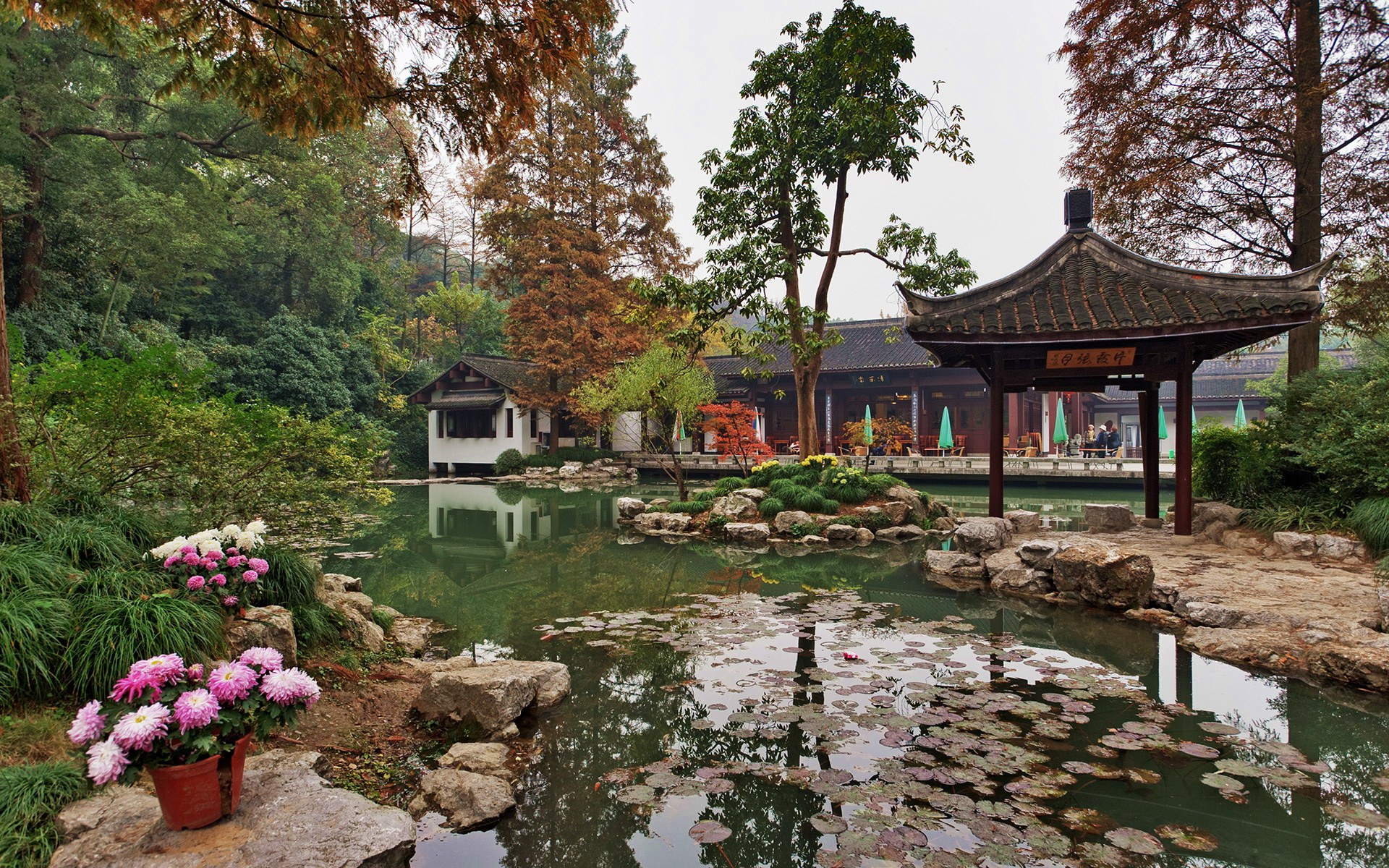 Китайские сады и парки