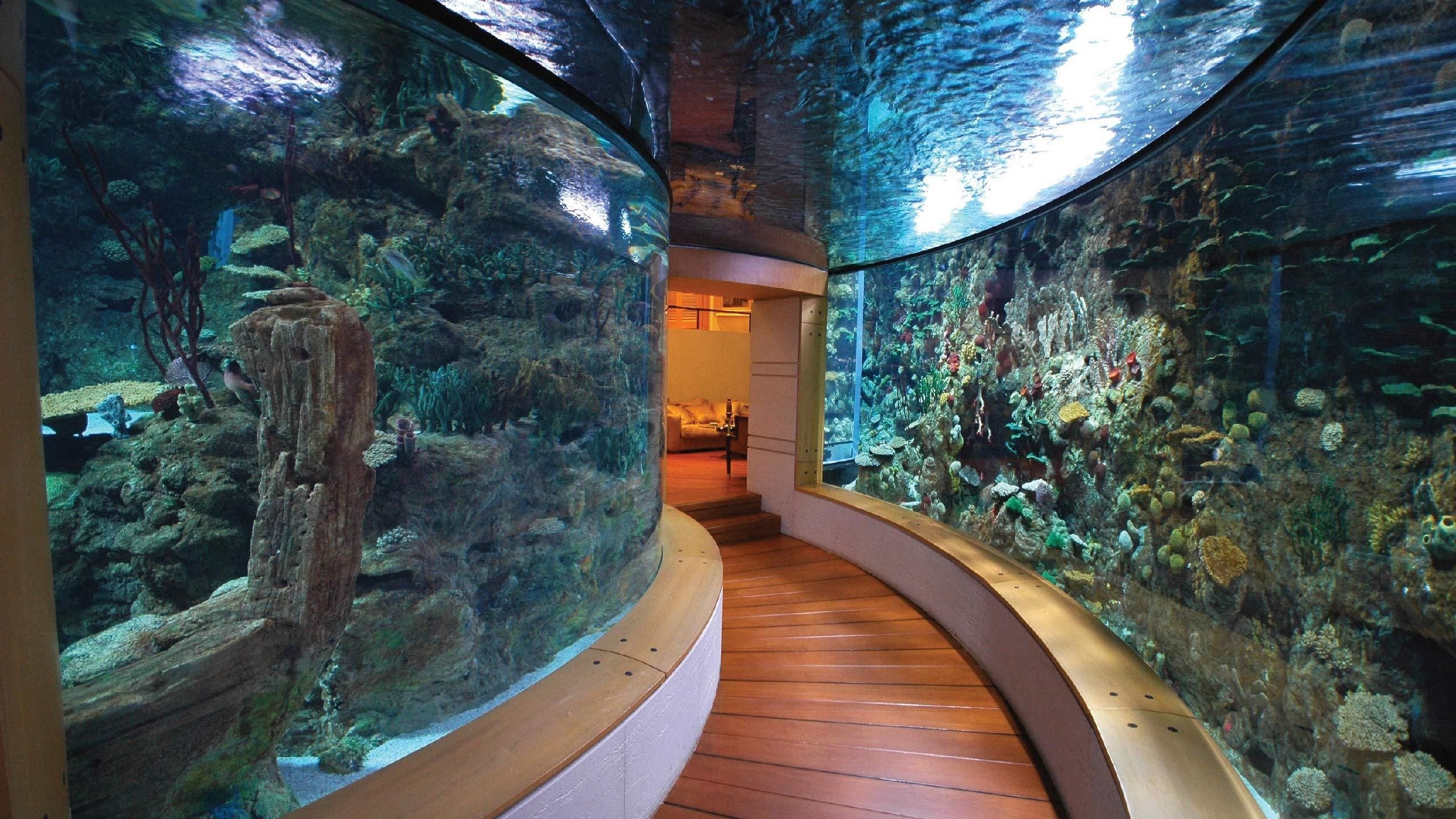 красивый интерьер с аквариумом