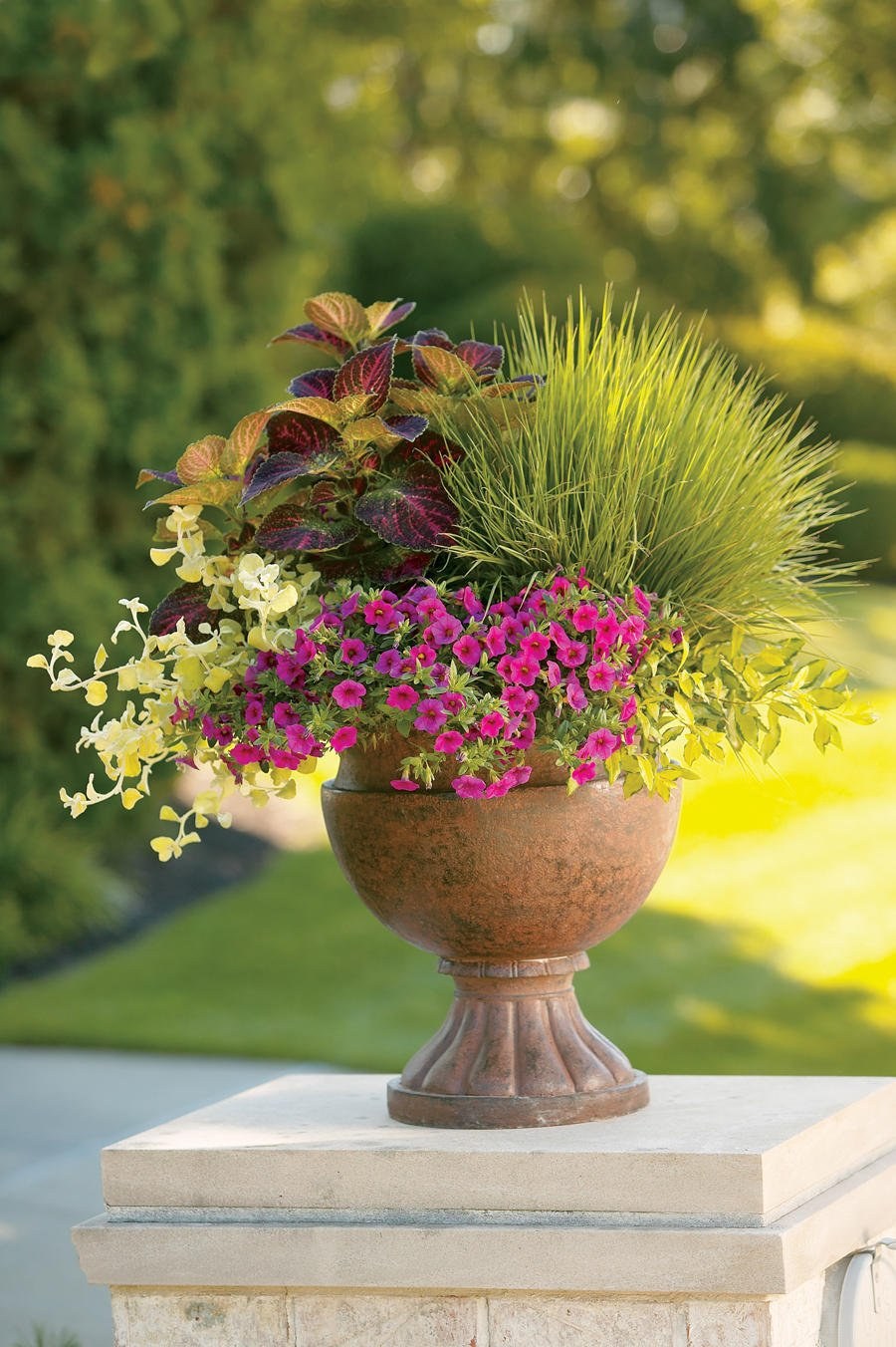 Цветочные композиции в вазонах