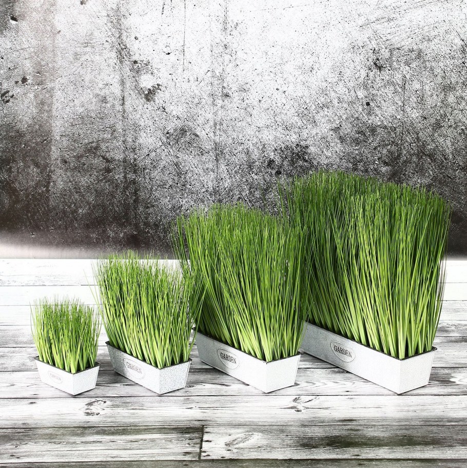 Джункус пенсил Грасс