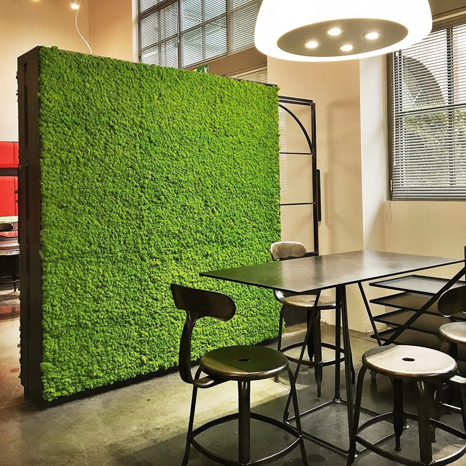 Стабилизированный мох ягель стена