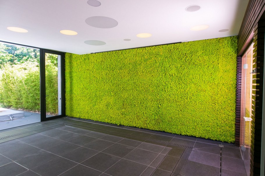 Стена из стабилизированного мха ягель