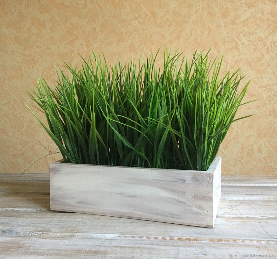 Осока в ящике
