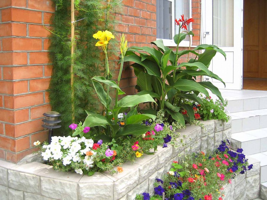 Клумба около стены