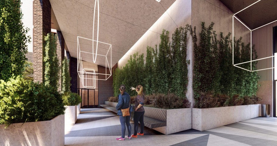 Сердце столицы мопы