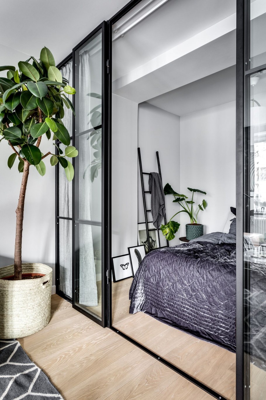 Стеклянные перегородки для зонирования