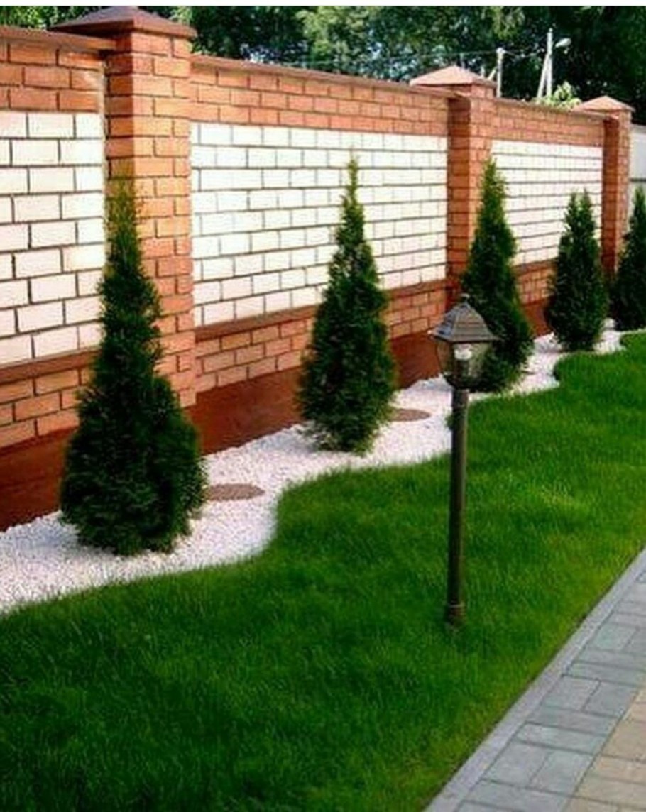 Газон вдоль забора