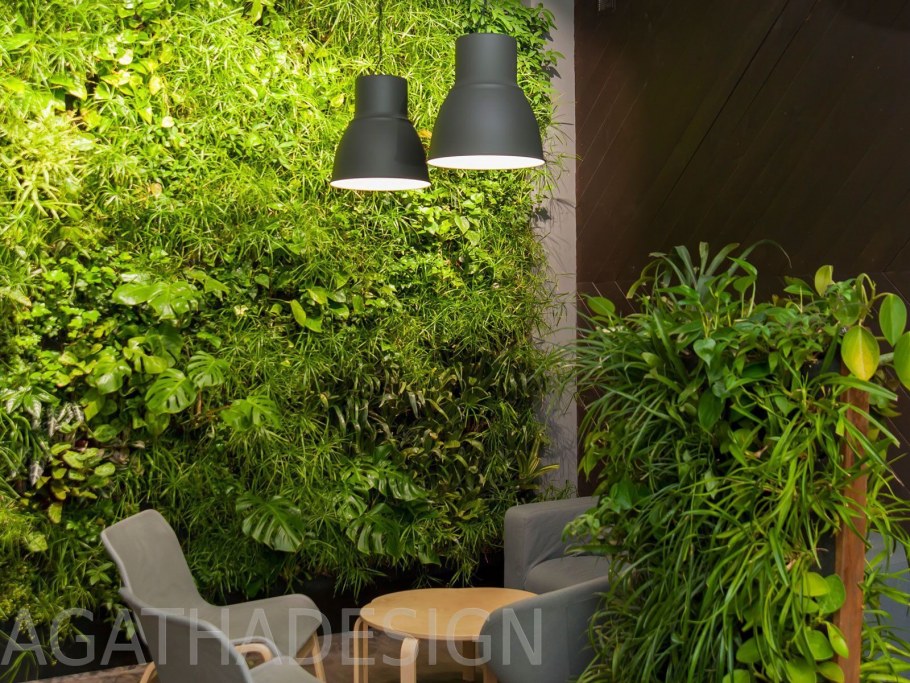 Фитостены из мхов и растений