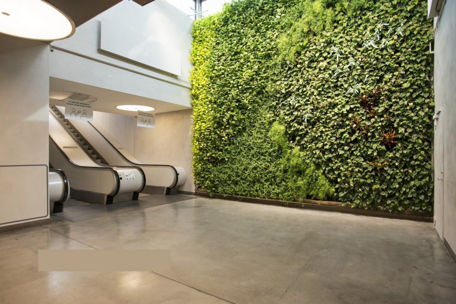 Фитостена БЦ Демидов