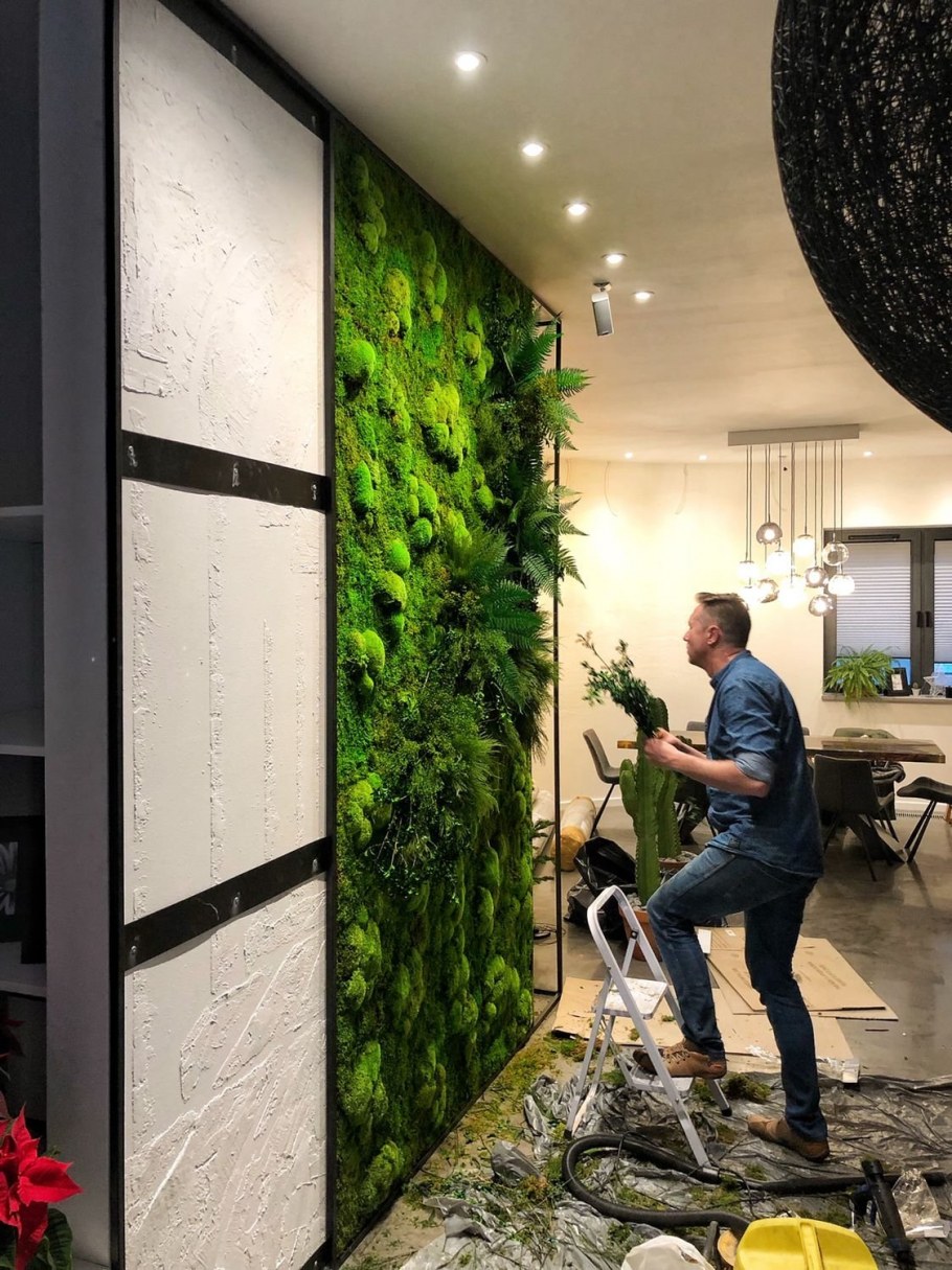 Зеленая фитостена