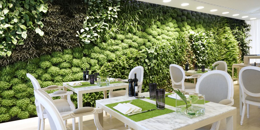 Вертикальное Озеленение