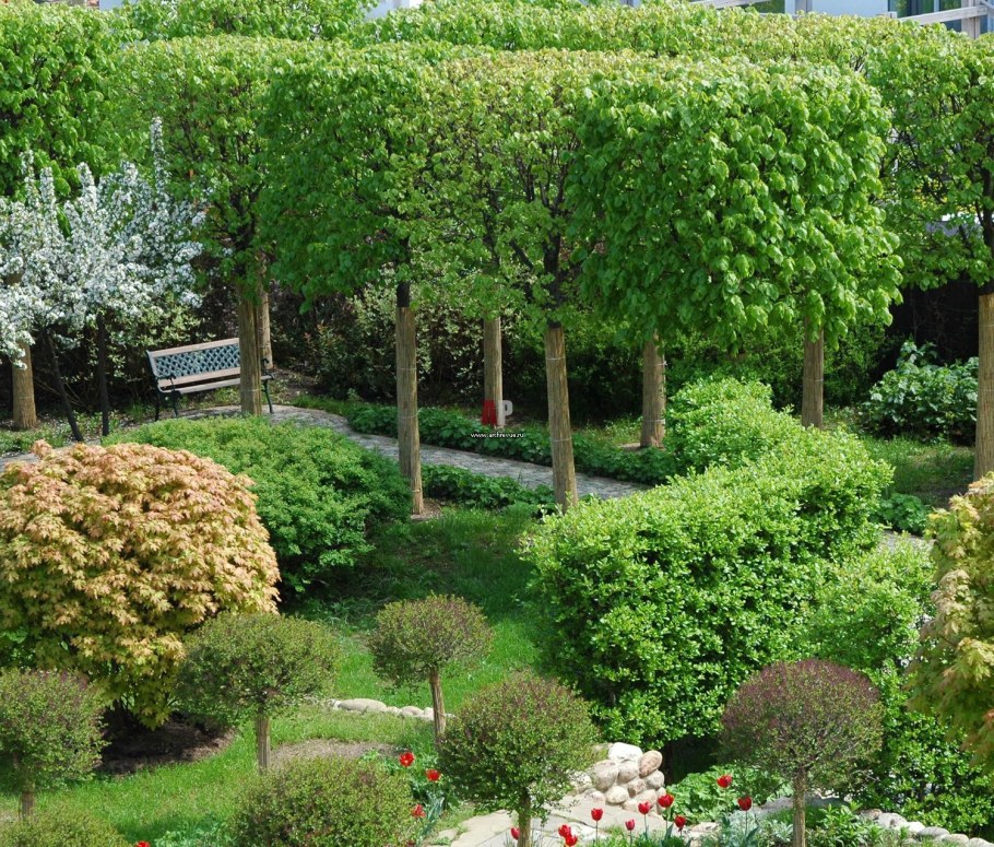 Необычные деревянные заборы