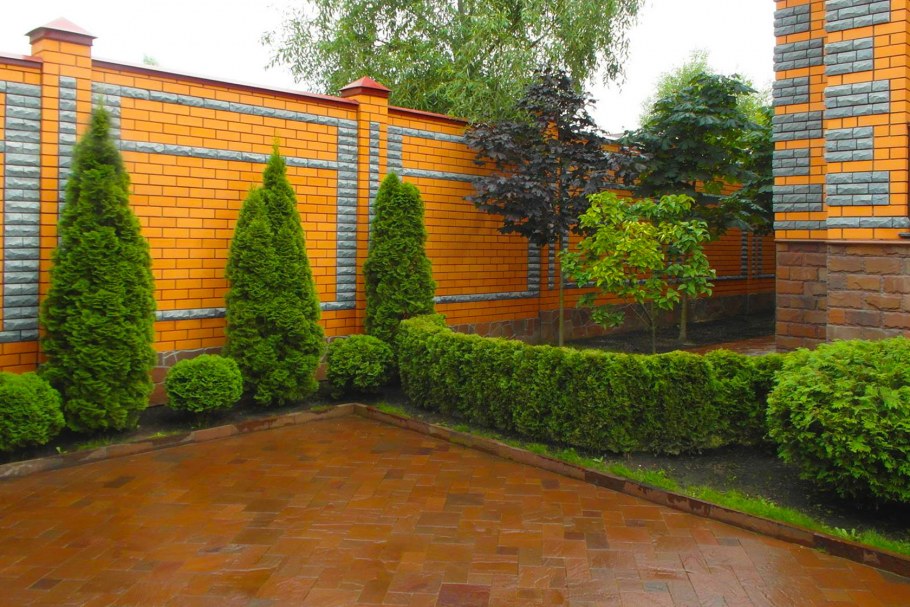 Ландшафтное Озеленение Подмосковье вдоль забора