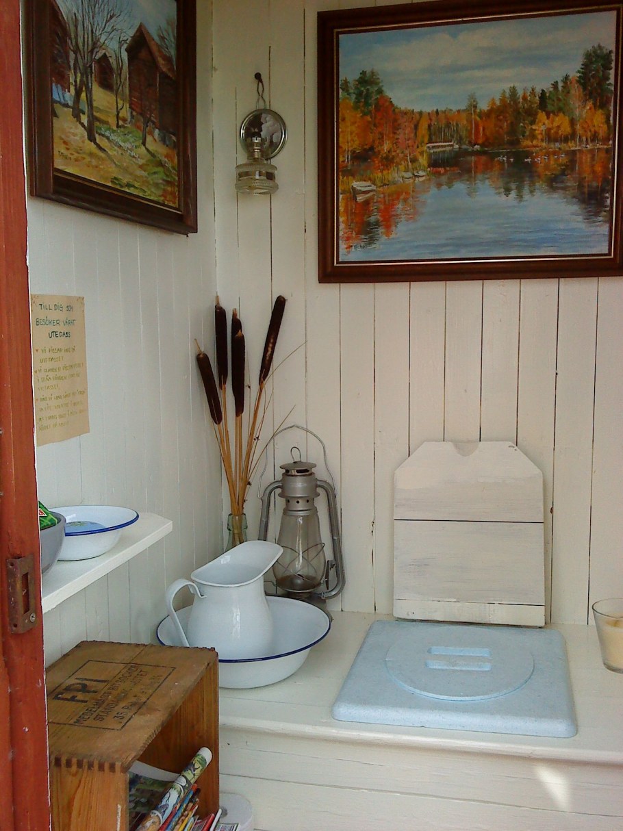 Дачный туалет внутри