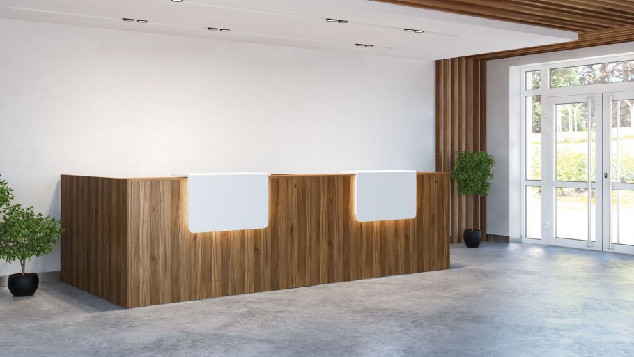 Ресепшн Salute