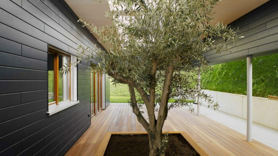 Планкен лиственница мансарда