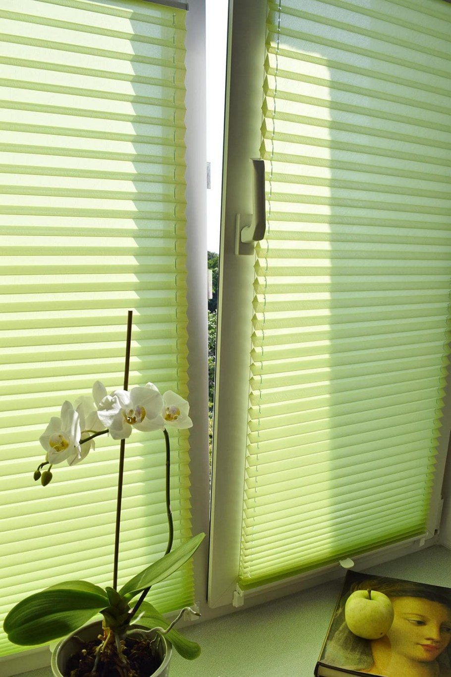Оконные жалюзи