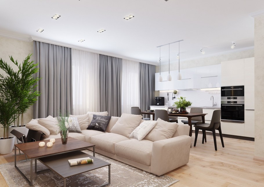 Зонирование кухни и гостиной