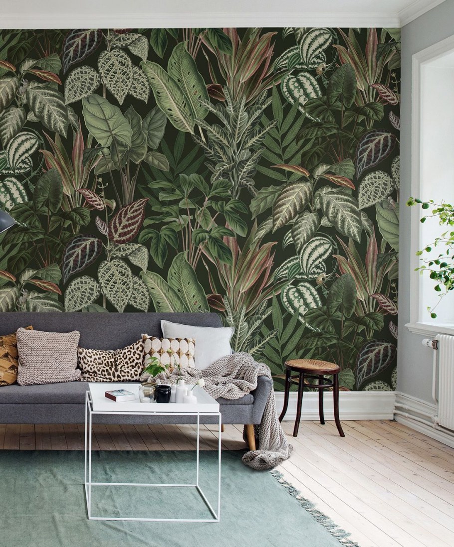 Тропические джунгли Сканди