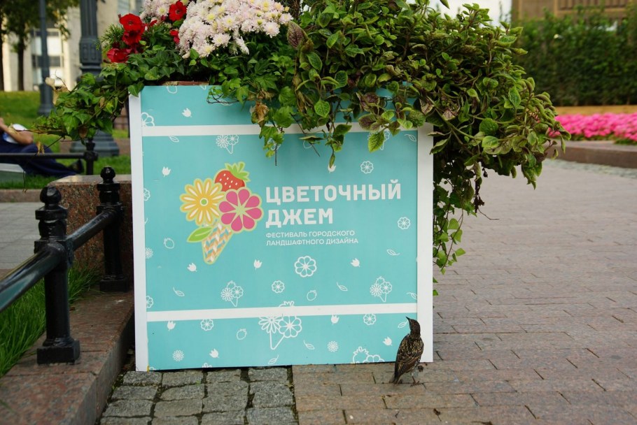 Марокко интерьеры марокканцев