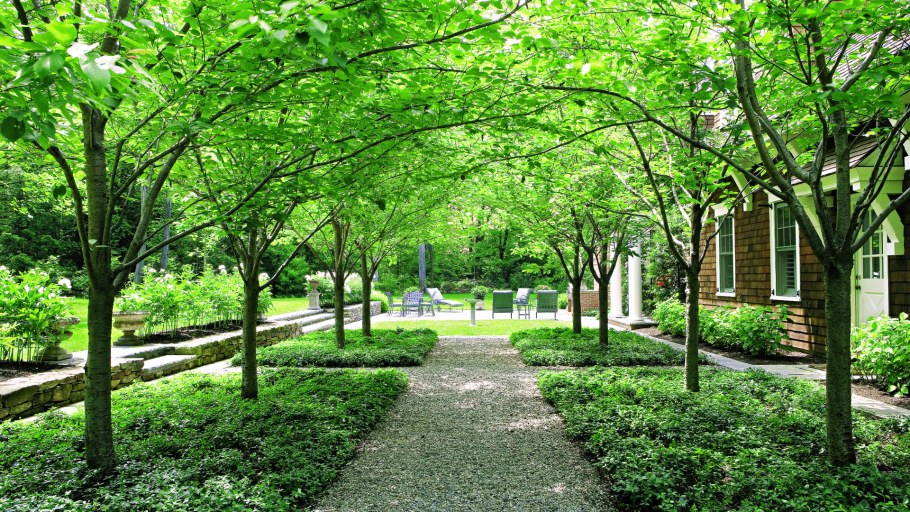 Озеленение аллеи