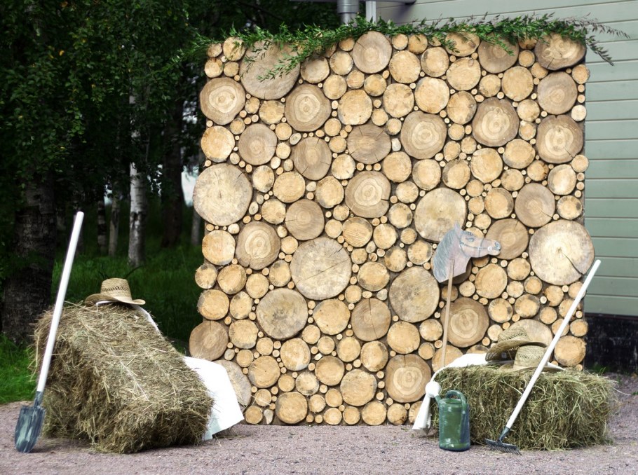 Фотозона из спилов