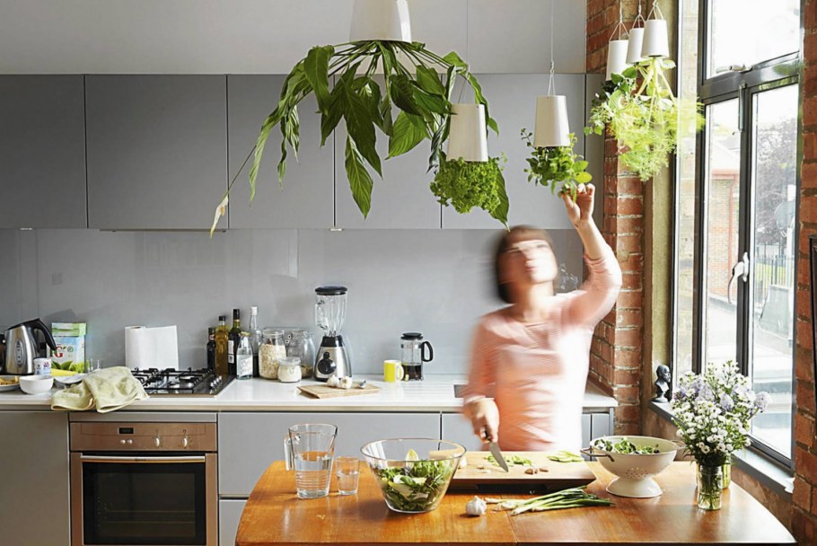 Растения в интерьере кухни