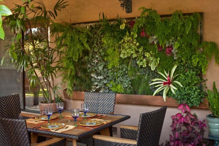 Комнатные растения в интерьере