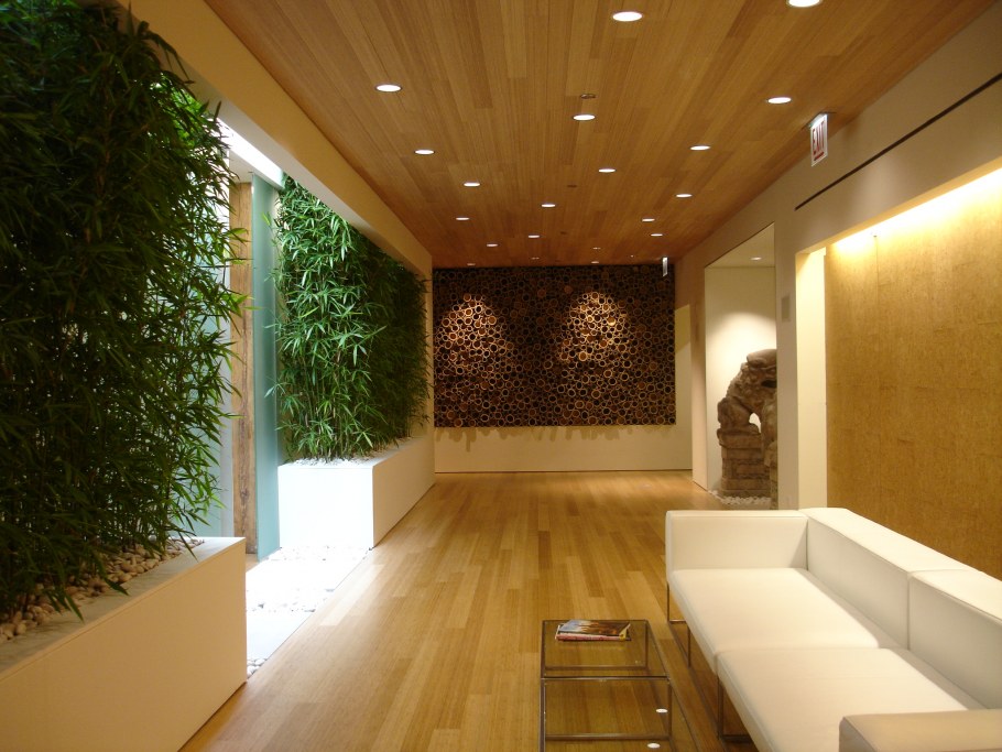 Много растений в комнате