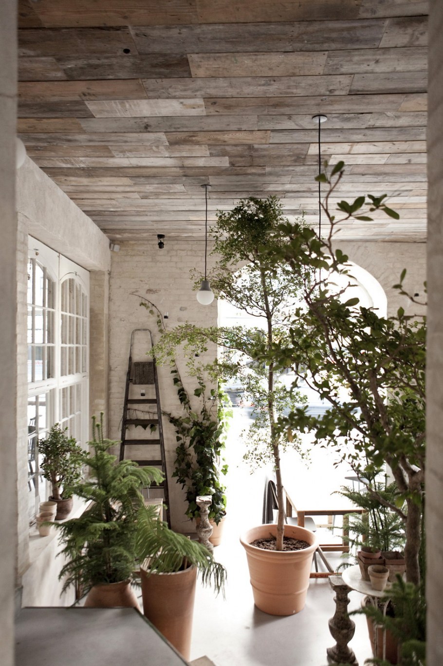 Зимний сад на лоджии