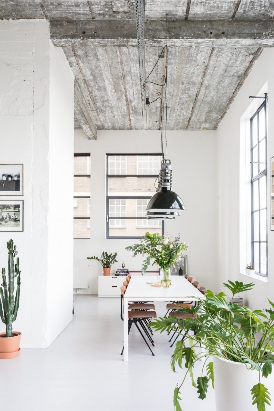 Фитодизайн в интерьере