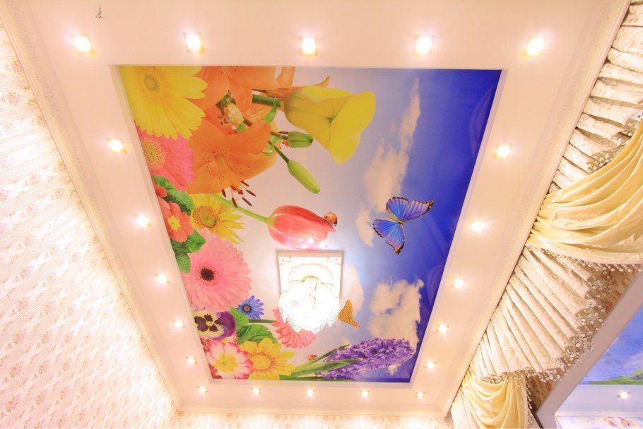 Натяжные потолки с фотопечатью