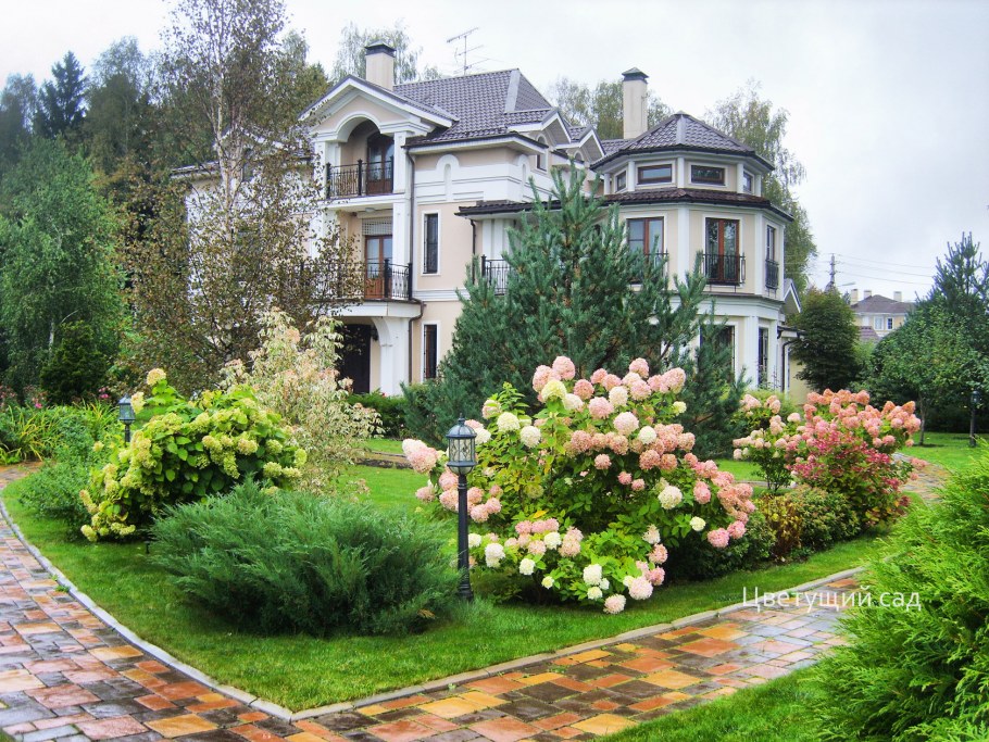 Цветущий сад Светлана Батова