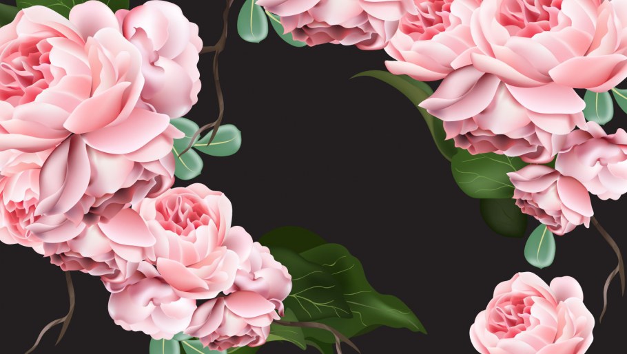 Розовые цветы на черном фоне