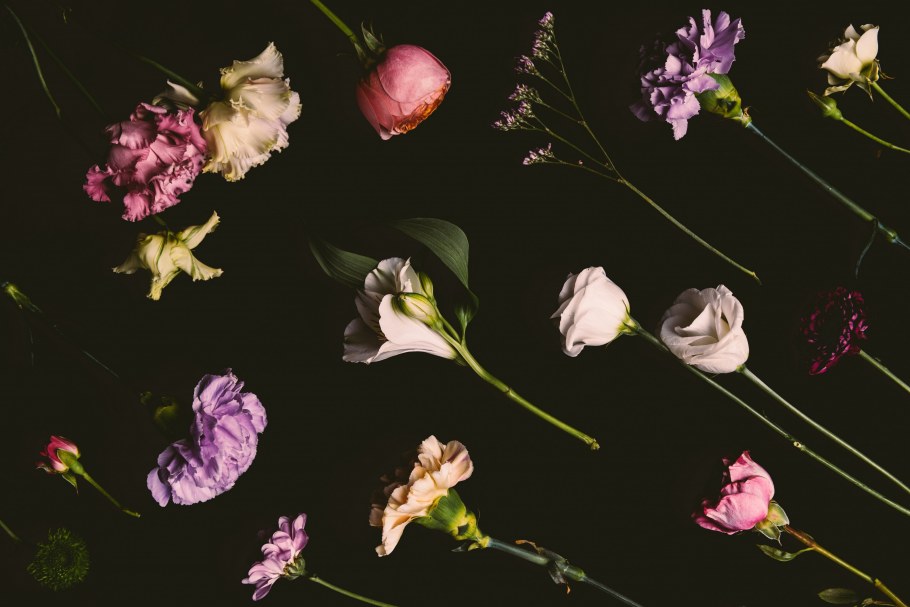 Цветы на темном фоне вертикально
