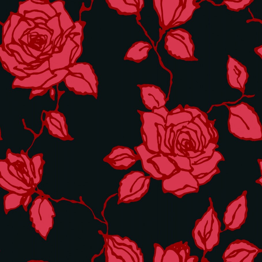 Орхидея фаленопсис