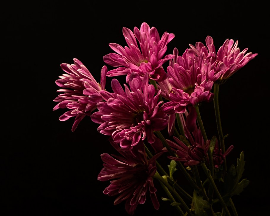 Фотообои текстурные