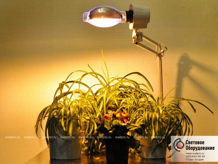 Вечернее освещение комнаты