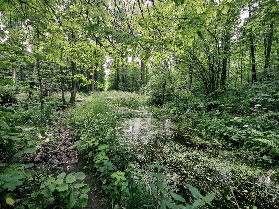 Сетл Сити шоурум студия