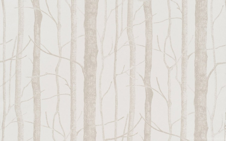 Советские обои с березами
