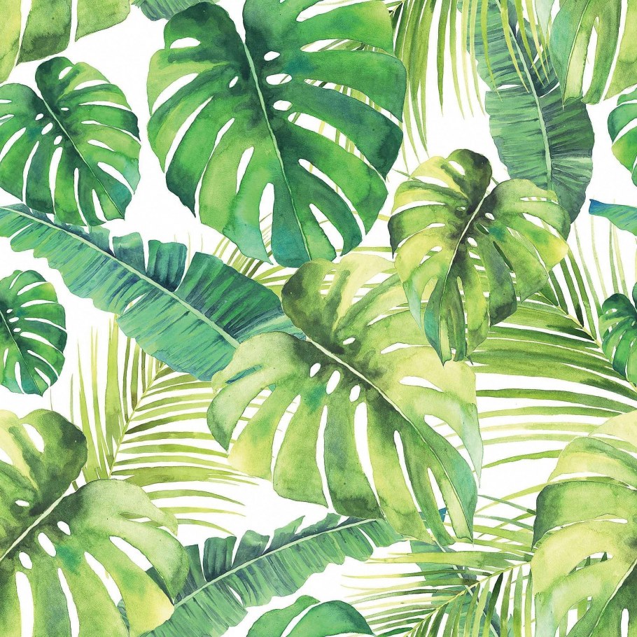 Летние рисунки