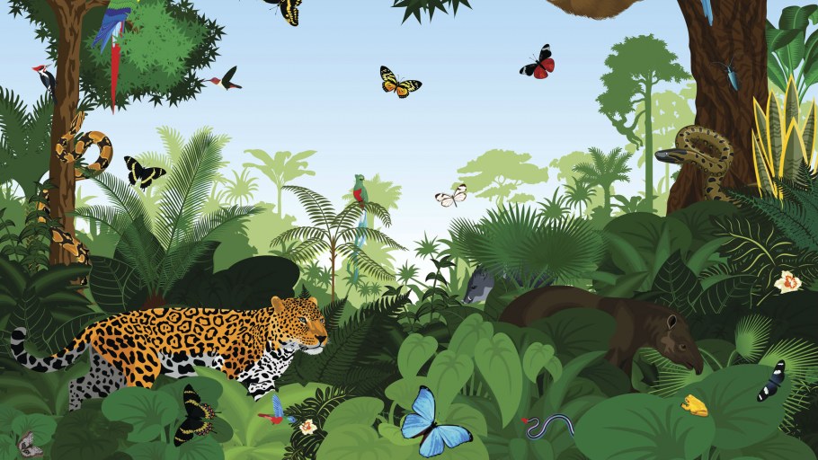 Джунгли Амазонка vector