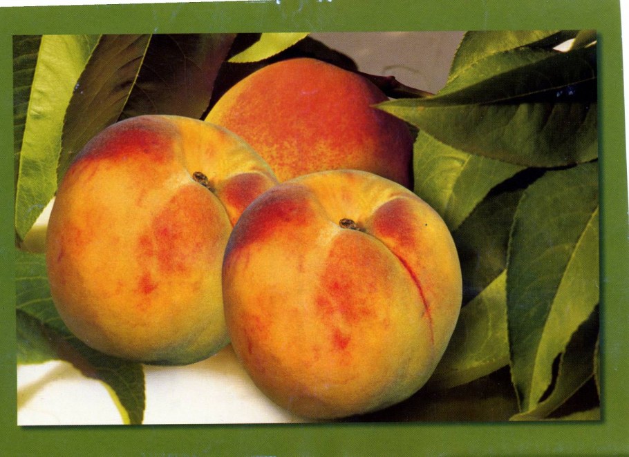 Персики фэн шуй