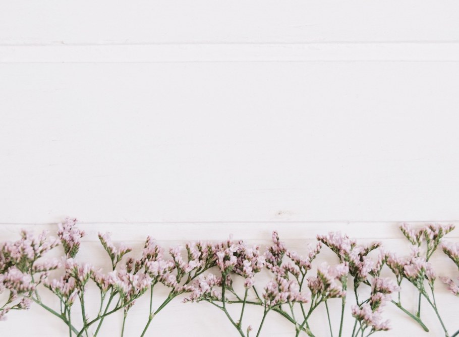 Эстетика цветы горизонтально