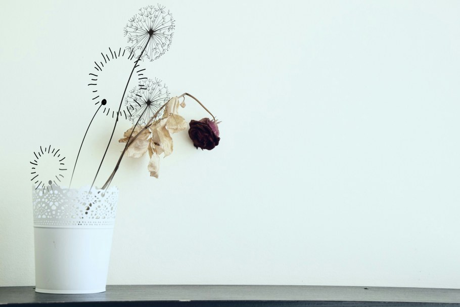 Сухоцветы Минимализм