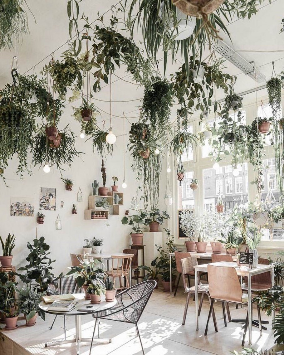 Украшение интерьера растениями