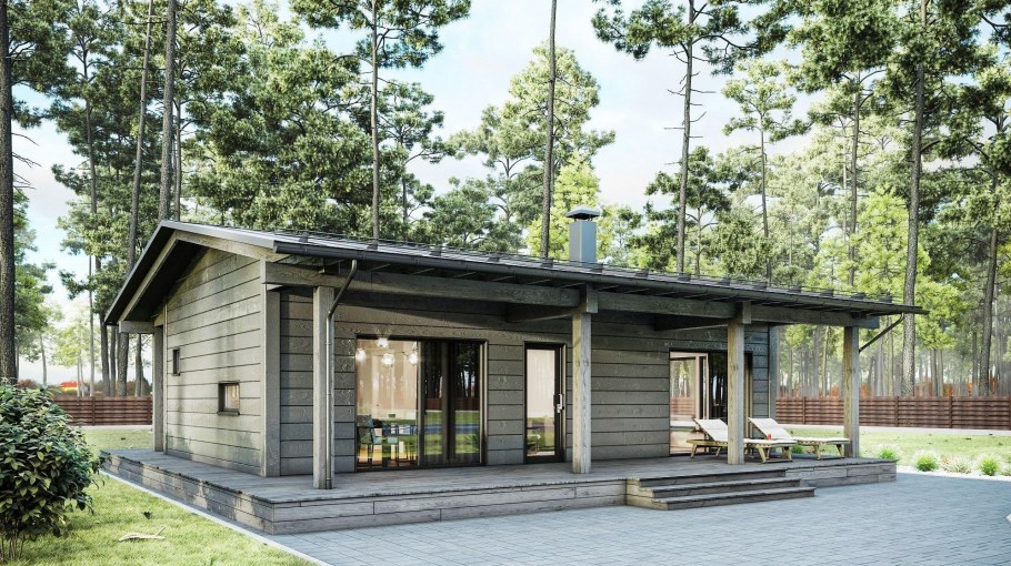 Шале одноэтажный с односкатной крышей